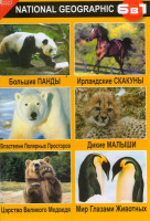 Изображение товара Большие панды / Властелин полярных просторов / Царство великого медведя / Ирландские скакуны / Дикие малыши / Мир глазами животных