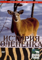 Изображение товара Animal Planet  История олененка