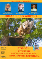 Изображение товара Живая энциклопедия: Соболь (Соболь / Русская и Американская норка / Зима Заботы животных)