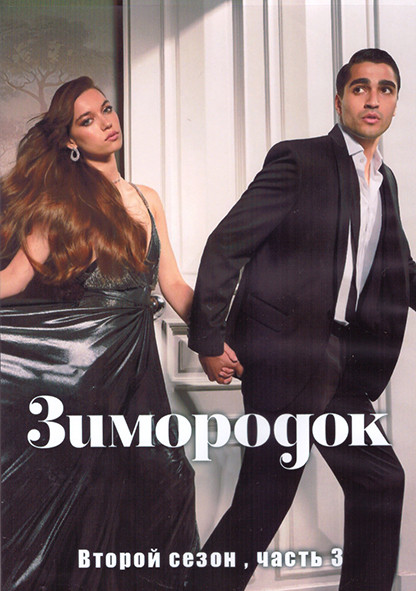 Зимородок 2 Сезон 3 Часть (8 серий) (4DVD) на DVD