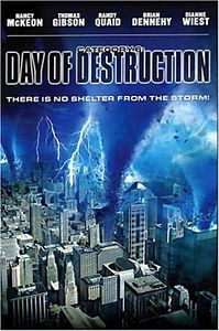 День катастрофы  на DVD