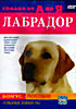 Собаки от А до Я: Лабрадор на DVD