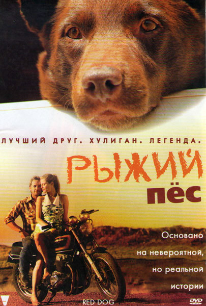 Рыжий пес на DVD