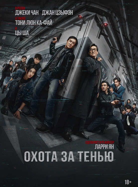 Охота за тенью* на DVD