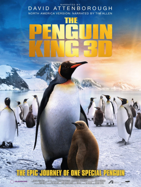 Король пингвинов на DVD
