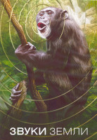 Изображение товара Звуки Земли 1 Сезон (12 серий) (2DVD)