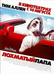 Лохматый папа на DVD Лохматый папа на DVD