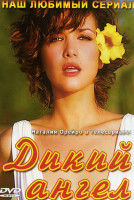 Изображение товара Дикий ангел (270 серий) (3 DVD)