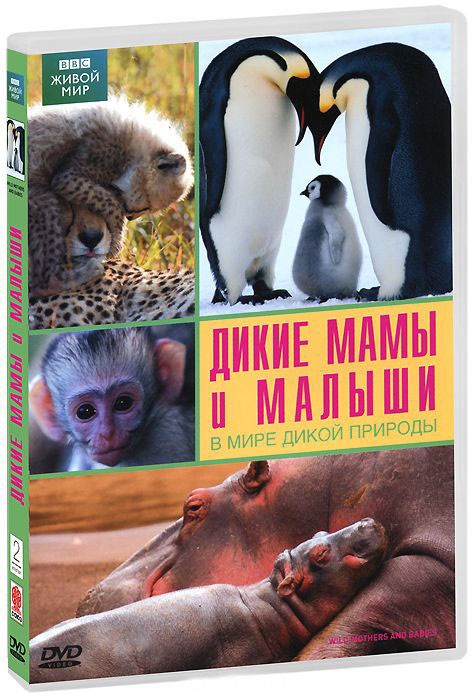 BBC Дикие мамы и малыши В мире дикой природы на DVD