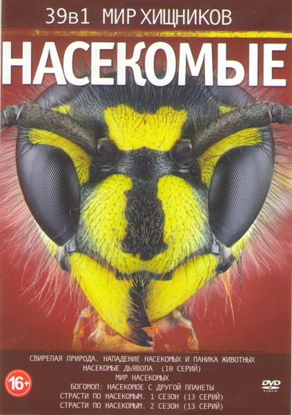 Мир хищников Насекомые (Свирепая природа Нападение насекомых и паника животных / Насекомые дьявола (10 серий) / Мир насекомых / Богомол Насекомое с др на DVD