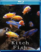 Изображение товара Китч рыбы (Яркие рыбы, Выделяющиеся рыбы) 3D (Blu-ray)