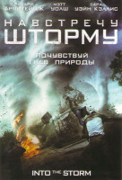 Изображение товара Навстречу шторму