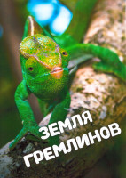 Изображение товара Земля гремлинов 1 Сезон (3 серии)