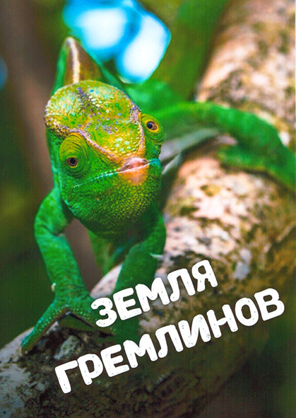 Земля гремлинов 1 Сезон (3 серии) на DVD