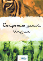 Изображение товара Секреты дикой Индии 1 Сезон (3 серии)