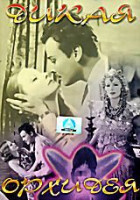 Изображение товара Дикая орхидея