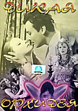 Дикая орхидея на DVD