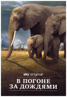 Изображение товара В погоне за дождями (4 серии)