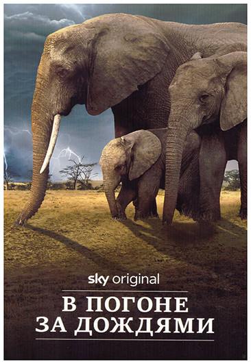 В погоне за дождями (4 серии) на DVD