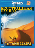 Изображение товара Discovery Бесстрашная планета Пустыня Сахара