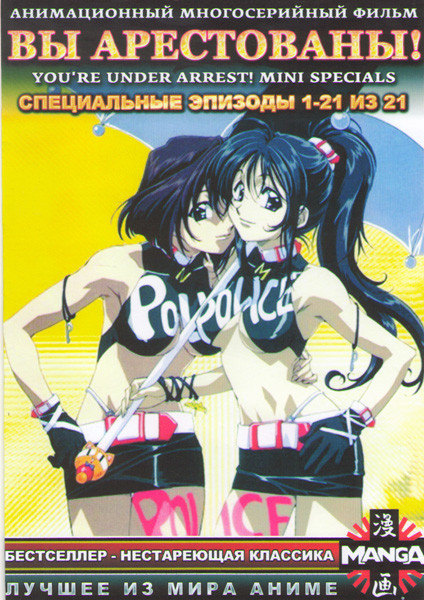 Вы арестованы Специальные эпизоды (21 серия) на DVD Вы арестованы Специальные эпизоды (21 серия) на DVD
