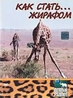 Изображение товара Discovery Как стать жирафом