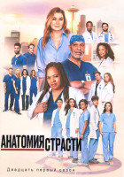 Изображение товара Анатомия страсти 21 Сезон (18 серий) (3DVD)