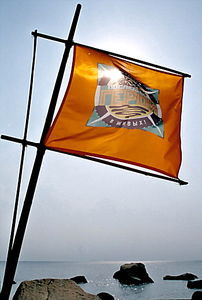 Реалити-съемки/Реалити - шоу на DVD