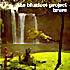 Изображение товара The Bluefoot Project - Brave (cd)