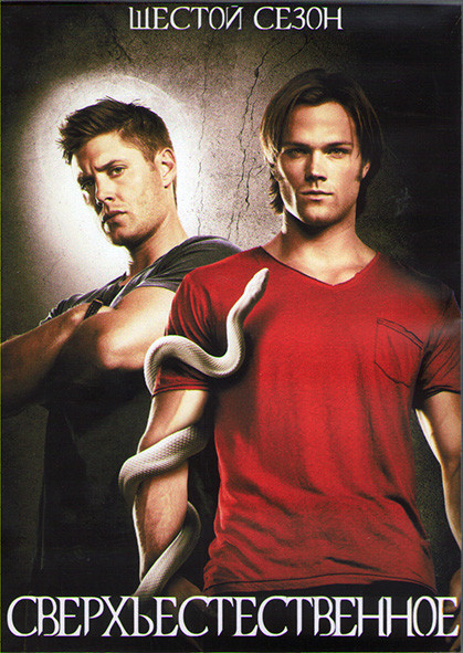 Сверхъестественное 6 сезон (22 серии) (3DVD) на DVD Сверхъестественное 6 сезон (22 серии) (3DVD) на DVD