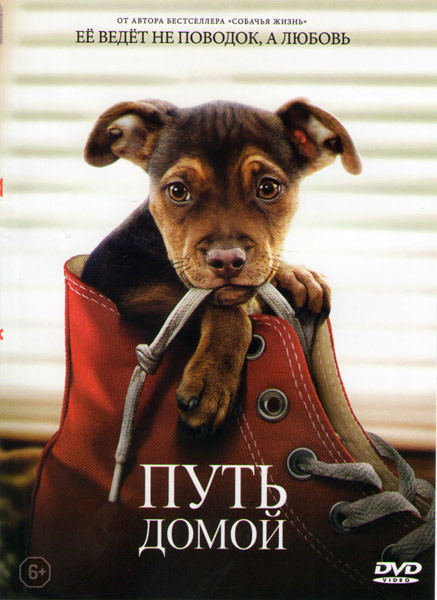Путь домой на DVD