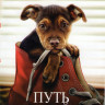 Путь домой на DVD