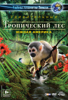 Изображение товара Тропический лес Южная Америка