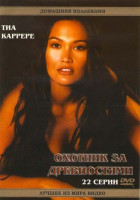 Изображение товара Охотник за древностями (22 серии)