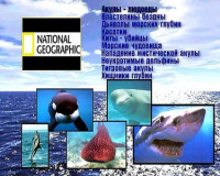 Изображение товара Астероиды/Шторм века