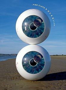Pink Floyd - Pulse + Dark side of the moon на DVD Pink Floyd - Pulse + Dark side of the moon на DVD
