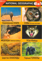 Изображение товара Королевская кобра / Медоеды змеиные убийцы / Царство анаконды / Совы ночные охотники / Псы-убийцы / Горные гориллы