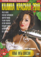 Изображение товара Калина красная 2018 Новые хиты шансона 193 клипа