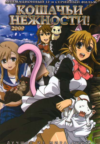 Кошачьи нежности (12 серий) на DVD