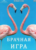 Изображение товара ВВС Брачная игра 1 Сезон (5 серий)