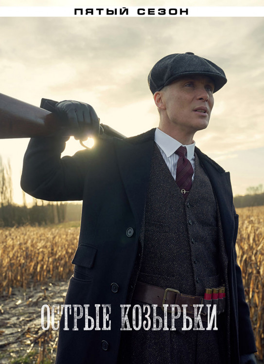 Острые козырьки (Заточенные кепки) 5 Сезон (6 серий)* на DVD