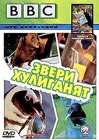 Изображение товара BBC Звери хулиганят
