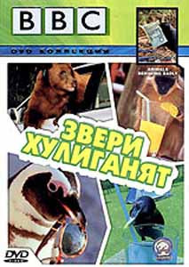 BBC Звери хулиганят на DVD BBC Звери хулиганят на DVD
