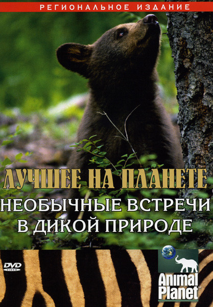 Animal Planet: Лучшее на планете  Необычные встречи в дикой природе на DVD