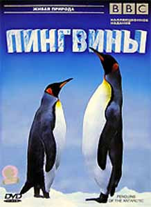 BBC Пингвины на DVD