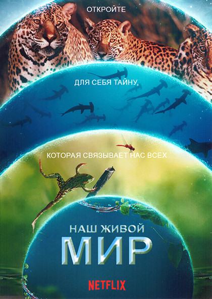 Наш живой мир 1 Сезон (4 серии) на DVD Наш живой мир 1 Сезон (4 серии) на DVD
