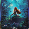 Русалочка (2023)* на DVD
