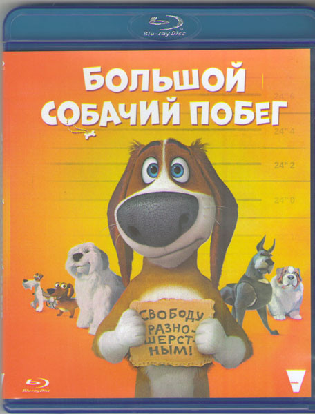 Большой собачий побег (Оззи) (Blu-ray)* на Blu-ray Большой собачий побег (Оззи) (Blu-ray)* на Blu-ray