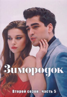 Изображение товара Зимородок 2 Сезон 5 Часть (33-37 серии) (3DVD)