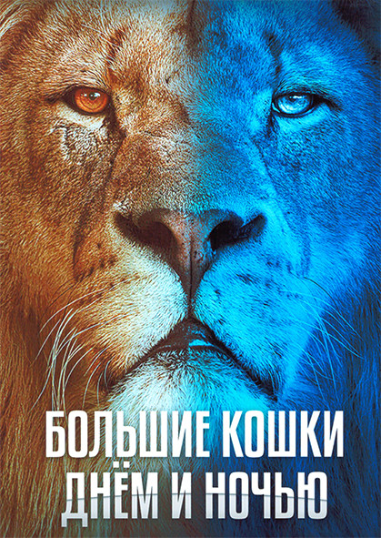 Большие кошки днем и ночью 1 Сезон (6 серий) на DVD